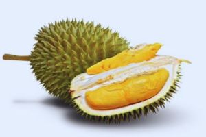 Fakta Durian Kanyao, Durian Paling Mahal di Dunia