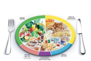 Pola Makan Seimbang dan Bergizi