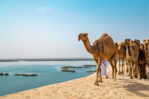 Wisata Alam di Gurun Tenggara Saudi Arabia