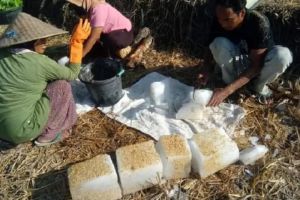 Krisis Air Akibat Kekeringan: Petani di Lombok Timur Gunakan Es Batu