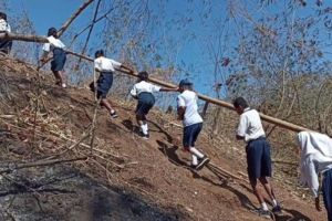 Siswa di Sikka Dakit Bukit demi Jaringan Internet, Diskominfo Sudah Survei Lokasi Tower BTS