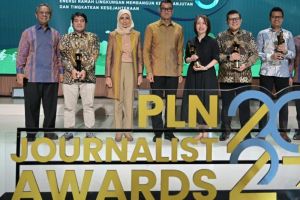 PLN Jurnalist Award 2024, Tentang Energi Bersih dan Berkelanjutan