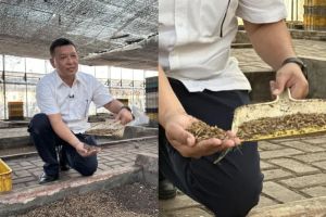 Hari Pangan Sedunia, Memberi Kesempatan Kedua Untuk Sampah Makanan