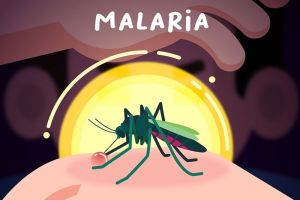 Masalah Kesehatan di Kota Solok, Demam Berdarah, TBC, dan Malaria