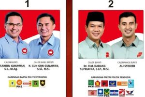 Cek Hasil Pilkada Kabupaten Bandung 2024