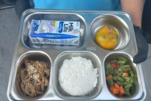 Pemerintah Tentukan Anggaran Makan Bergizi Gratis Rp15000 Per Anak