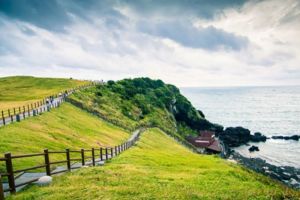 10 Destinasi Wisata Musim Gugur di Pulau Jeju, Korea Selatan