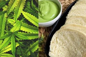 Belajar Online, BNNP Sebut Ada Modus Pegedaran Ganja Jadi Selai Roti