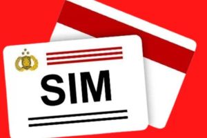 Benarkah Ada Program SIM Gratis dan Berlaku Seumur Hidup?