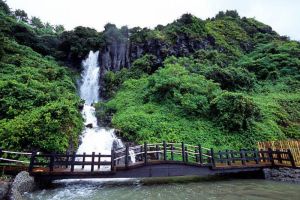 38 Turis Vietnam Hilang Misterius di Pulau Jeju Korea Selatan