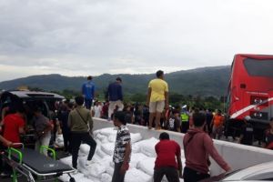 Kecelakaan Maut Bus Pariwisata vs Truk di Tol Malang, 4 Tewas dan 50 Luka