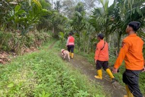 Anjing pelacak saat mencari korban banjir bandang Deli Serdang