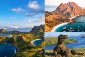 Wisata Pulau di Taman Nasional Komodo, Destinasi Liburan di Labuan Bajo