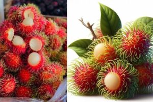 Manfaat Buah Rambutan