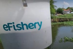 eFishery Palsukan Laporan Keuangan, Pendapatan dan Laba Digelembungkan