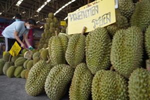 100 Kontainer Durian Thailand Ditolak Masuk China Karena Mengandung Pewarna Berbahaya