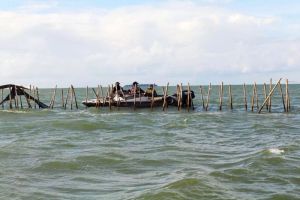 Menteri Kelautan dan Perikanan, Sakti Wahyu Trenggono Pastikan Seluruh Pagar Laut Dibongkar