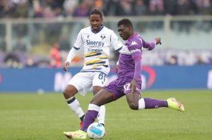 Fiorentina Vs Verona