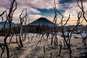 Pemandangan Gunung Papandayan dengan kawah aktif dan lanskap hijau