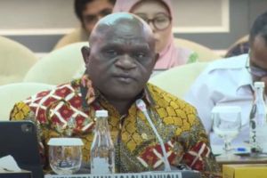 Menteri HAM, Amnesti Diberikan Kepada Napi Makar di Papua, Bukan KKB