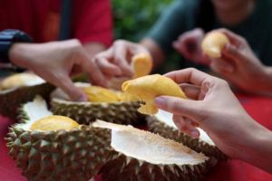 Khasiat Durian untuk Kesehatan dan Pantangan Konsumsinya