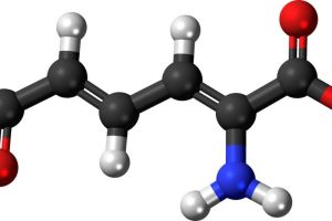 Metabolisme