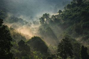 Terungkap! Lempeng Tektonik Raksasa yang Hilang 20 Juta Tahun Ditemukan di Kalimantan