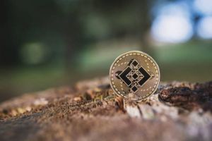 Trump dan Binance: Rencana Besar di Dunia Kripto, Ada Apa?