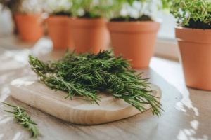 Daun Rempah yang Diremehkan Tapi Diperebutkan Dunia: Kenapa Thyme Indonesia Jadi Incaran Jepang dan Eropa?