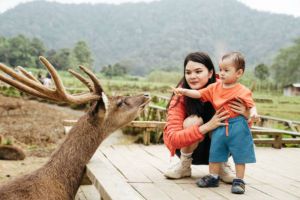 Bawa Balita ke Kebun Binatang? Ini 8 Cara Cerdas Biar Anak Aman & Ceria Seharian!