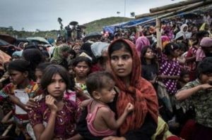 Rohingya