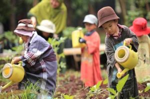 outdoor learning