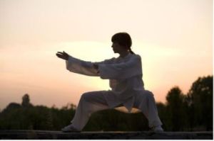 Chen Village Style Tai Ji Quan - The Birth Of A Chinese Medicinal Art
