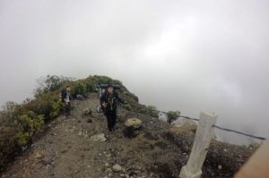 Sejumlah pendaki saat menyusuri puncak Gunung Gede Cianjur, Jawa Barat beberapa waktu lalu. Balai Besar TNGGP kembali membuka jalur pendakian setelah ditutup akibat pandemi Covid-19 sejak Maret 2020.