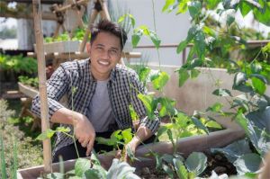 berkebun di rumah anak muda