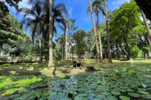 Taman Langsat, Jakarta Selatan(KOMPAS.com/MIFTAHUL RIZKY)