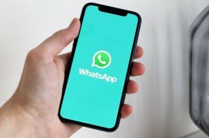 Cara membuat paket stiker WhatsApp. (Pexels/Anton)