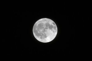 Dari mana cahaya bulan berasal?(Freepik)