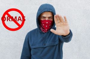 Ilustrasi ormas.(Freepik/user18526052)