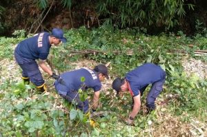 Tiga petugas Damkar Kota Salatiga mengevakuasi ular di wilayah Tegalrejo(KOMPAS. com/Dok. Damkar Salatiga)