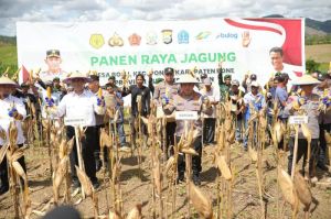 Menteri Pertanian (Mentan) Amran Sulaiman dan Kapolri Jenderal Listyo Sigit Prabowo menghadiri panen raya jagung di Desa Bolli, Bone, Sulawesi Selatan (Sulsel) pada Jumat (16/5/2025).