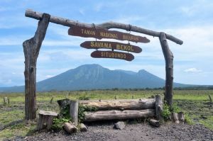 Taman Nasional Baluran di Situbondo, Jawa Timur.(KOMPAS.com/ANGGARA WIKAN PRASETYA)