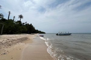 Pantai Bama yang berpasir putih di Taman Nasional Baluran, Rabu (21/5/2025).(KOMPAS.com/ANGGARA WIKAN PRASETYA)