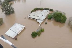 Cuplikan bingkai dari rekaman video selebaran yang diambil antara 21 dan 22 Mei 2025 dan dirilis pada 22 Mei 2025 oleh Kepolisian New South Wales