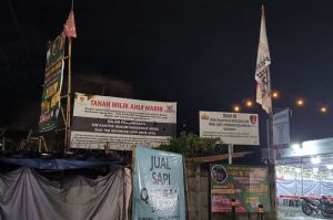 Penampakan lahan terbuka yang rama(Intan Afrida Rafni)