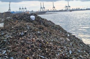 Tumpukan limbah kulit kerang setinggi lima meter di pinggir pantai Cilincing, Jakarta Utara.(KOMPAS.com/ SHINTA DWI AYU)