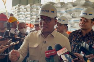Wamentan: Program SPHP dan Bansos Beras Dapat Dilanjutkan pada Juni atau Juli 2025
