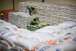 Direktur Pengadaan Perum Bulog Optimistis Serapan Beras Tembus Empat Juta Ton