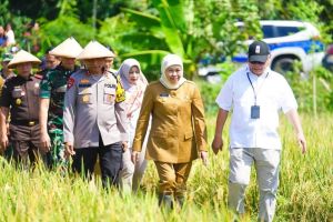 Ngawi Diproyeksikan Jadi Role Model Pertanian Nasional
