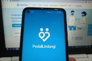 Peduli Lindungi Diretas Jadi Website Judol, Kemenkes Beri Klarifikasi